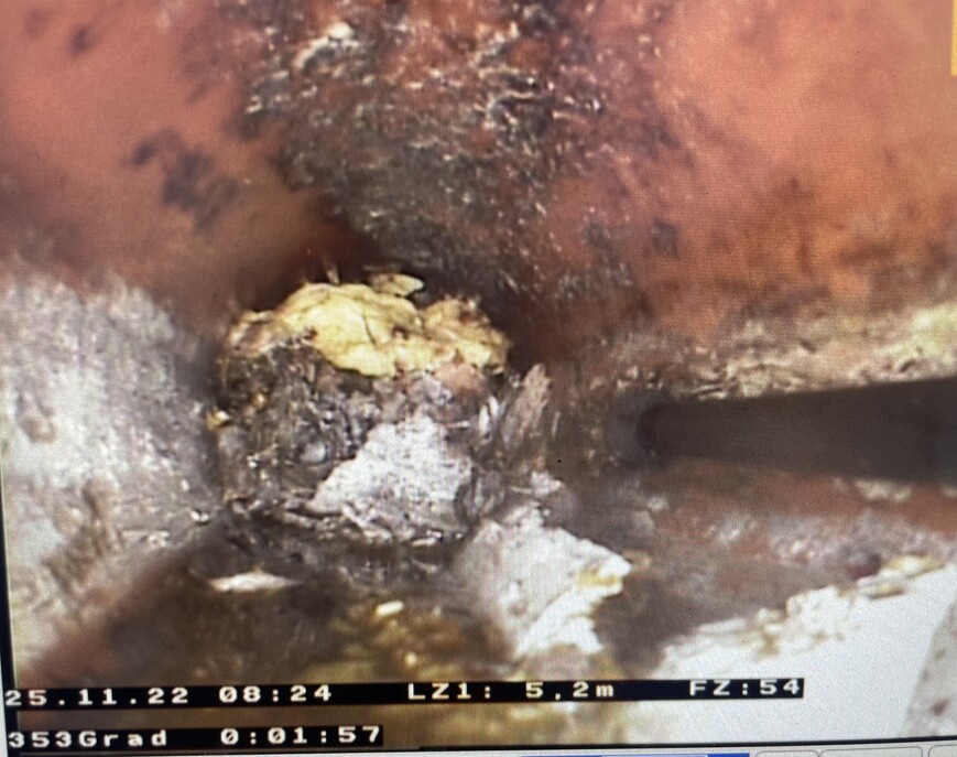 Billede 25.11.2022 08.24.33